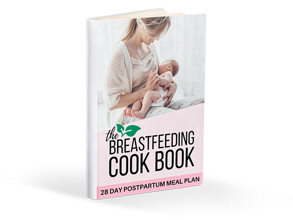 Image of a mockup of the breastfeeding cook book on paper back.